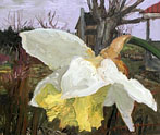 John Hartman: Daffodil, 2003